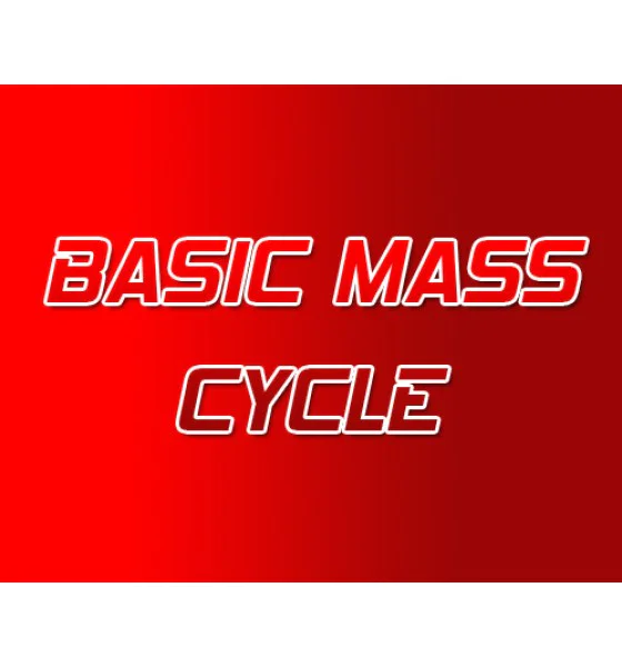 2 Basic Mass Steroid Cycle - Image 1